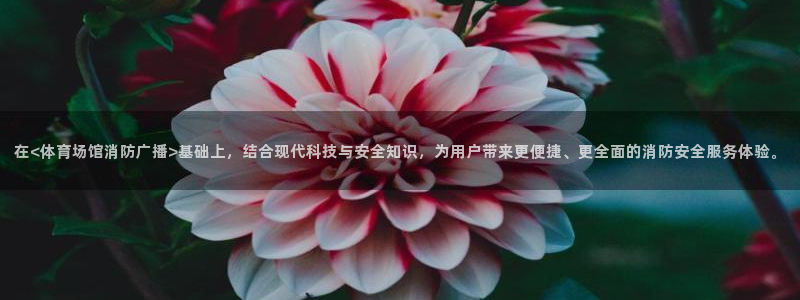 尊龙凯时ag旗舰
