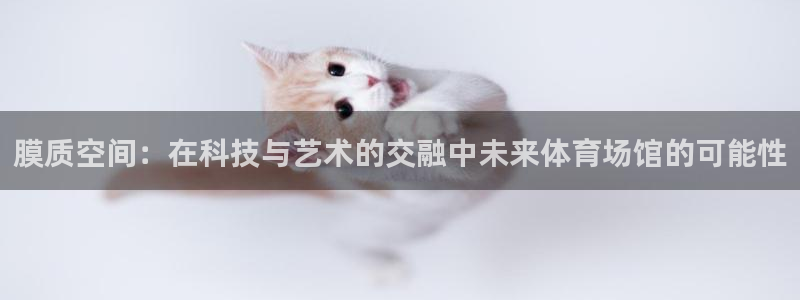 尊龙凯时网