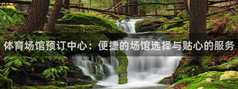 尊龙网站手机下载