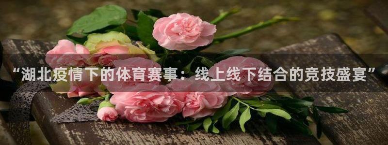 尊龙t600怎么样