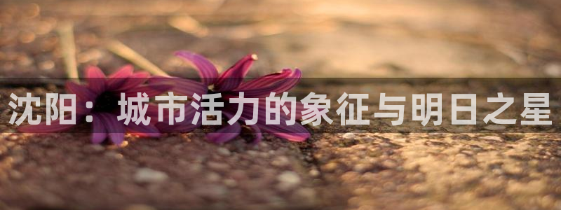 尊龙d88官网赢来就送38