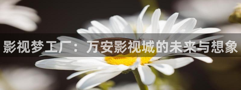 开心影院在线免费观看：影视梦工厂：万安影视城的未来与想象