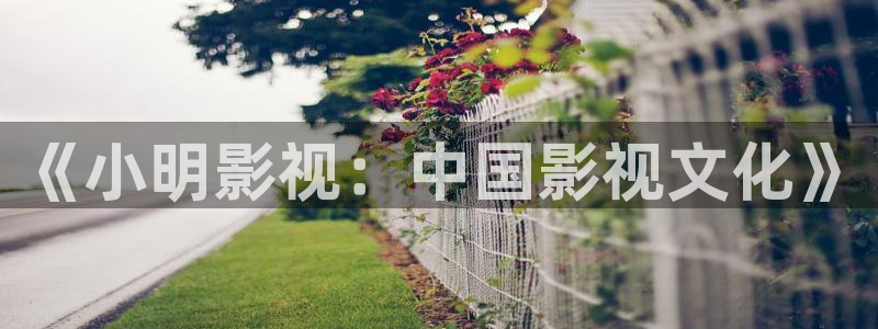 开心影院下载：《小明影视：中国影视文化》
