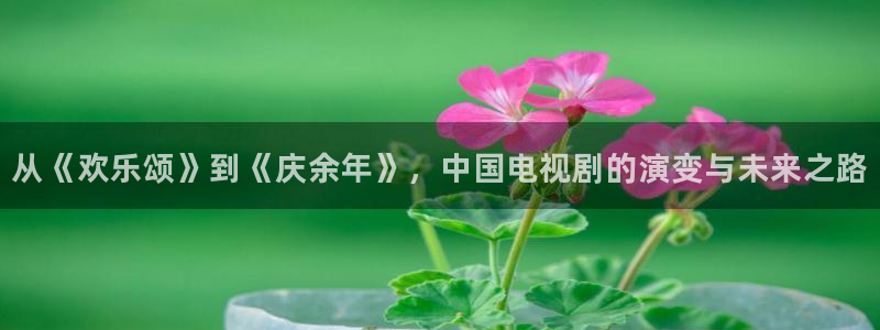 成人开心影院：从《欢乐颂》到《庆余年》，中国电视剧的演变与未来之路