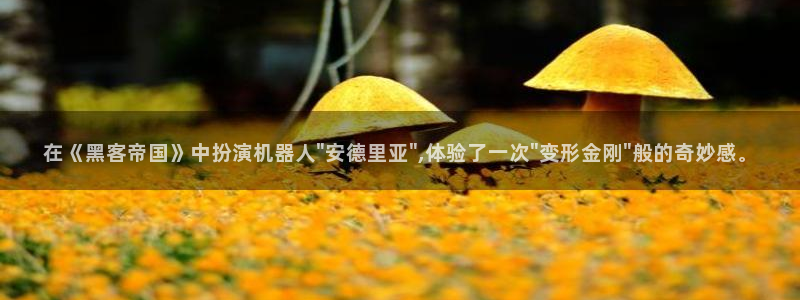 开心影院电影：在《黑客帝国》中扮演机器人\