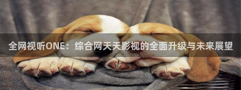 开心影院免费在线观看：全网视听ONE：综合网天天影视的全面升级与未来展望