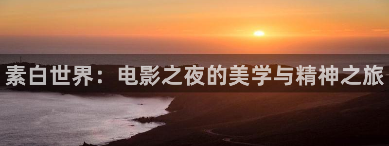 开心就好电影免费观看：素白世界：电影之夜的美学与精神之旅